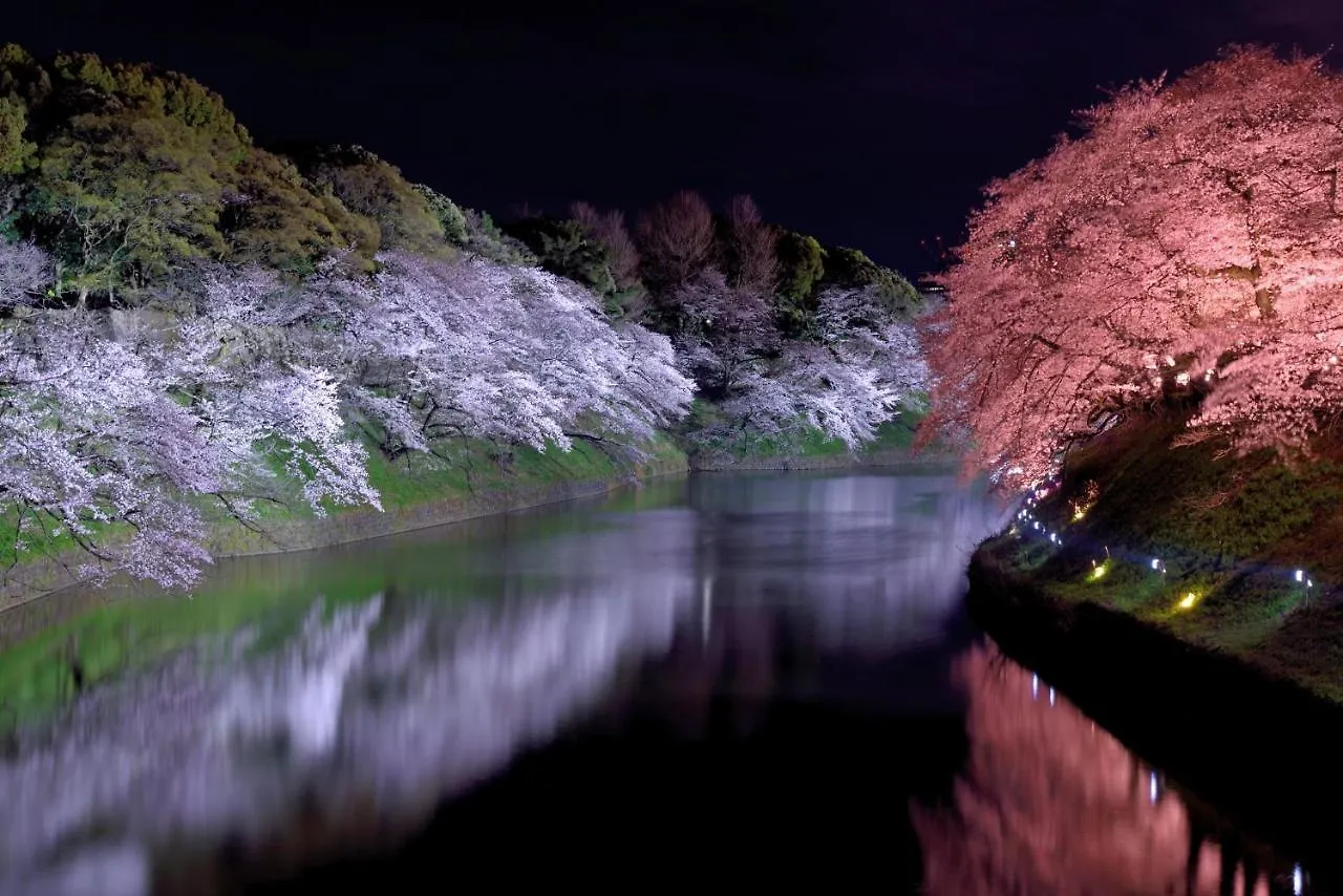 Hostel Oyo旅館 Sakura Garden 浅草橋